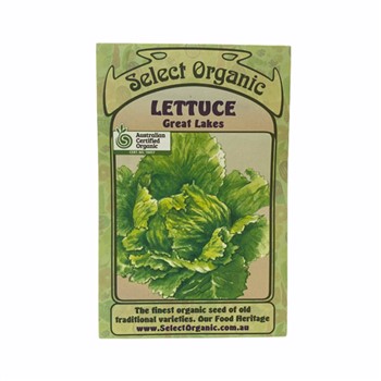 Lettuce Great Lakes Select Organic Seeds