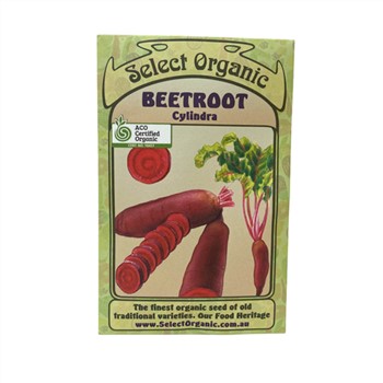 Beetroot Cylindra Select Organic Seeds