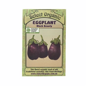 Eggplant Black Beauty Select Organic Seeds
