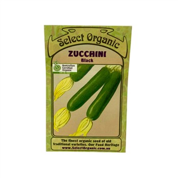 Zucchini Black Select Organic Seeds