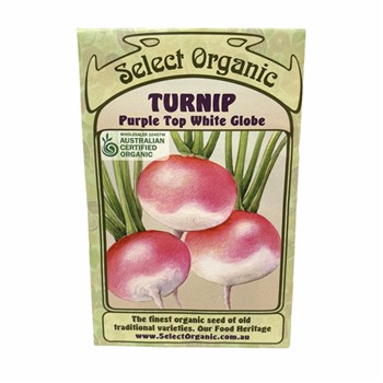 Turnip Purple Top White Globe Select Organic Seeds