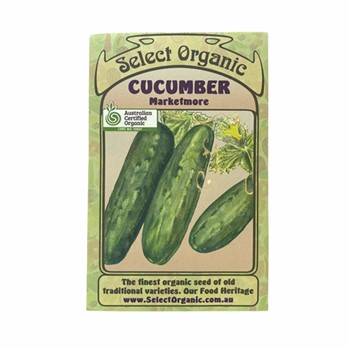 Cucumber Marketmore Select Organic Seeds