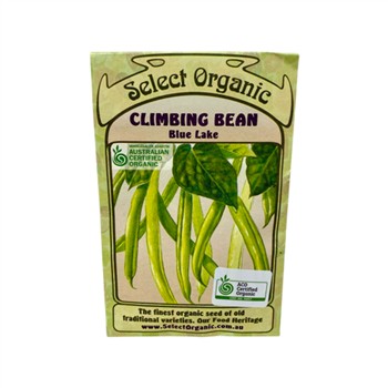 Bean Climbing Blue Lake Select Organic Seeds