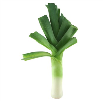 Organic Leeks