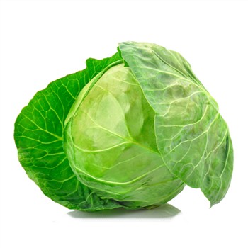 Organic Cabbage Green Whole