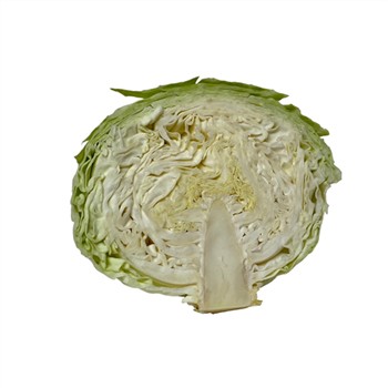 Organic Cabbage Green Half