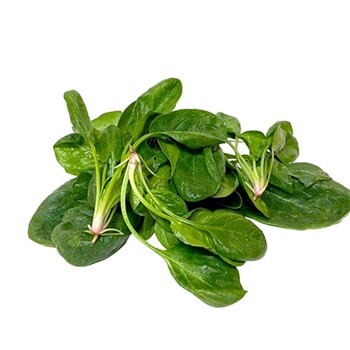 Organic Spinach Loose 200g