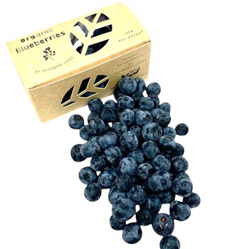 Organic Blueberry 125g plastic free punnet ea