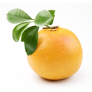 Organic Grapefruit 500g