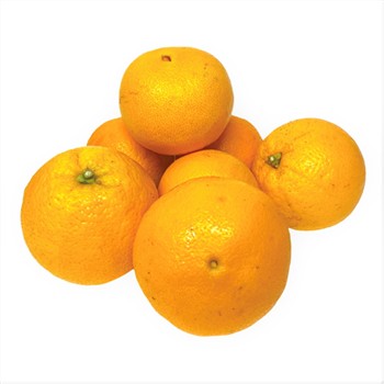 Organic Oranges Navel 500g