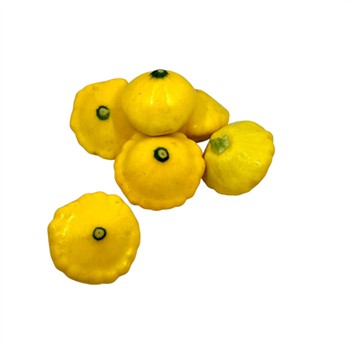 Organic Squash 300g