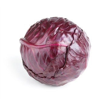 Organic Cabbage Red Whole