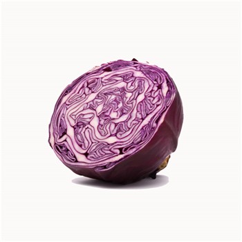 Organic Cabbage Red Half