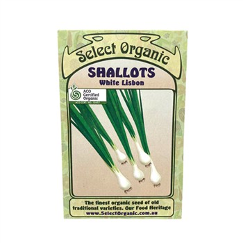 Shallots White Lisbon Select Organic Seeds
