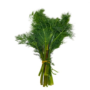 Organic Dill Bunch ea