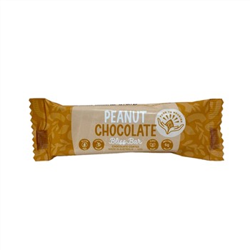 Food To Nourish Bliss Bar Peanut Chocolate 40g