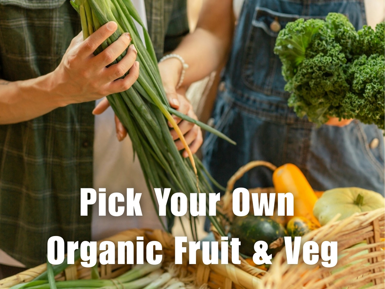 Organic Fruit & Veg - Pick Your Own